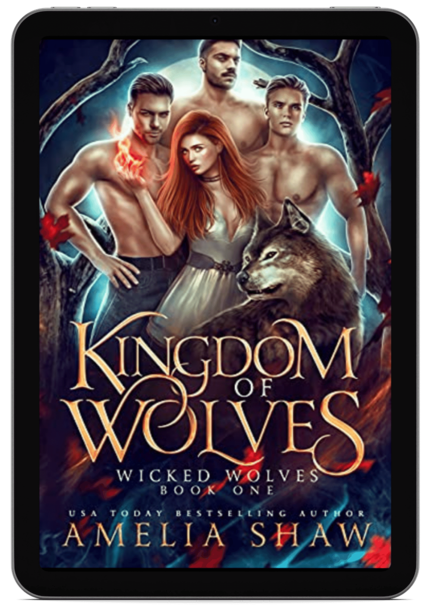 Kingdom of Wolves | Book 1 - Wicked Wolves