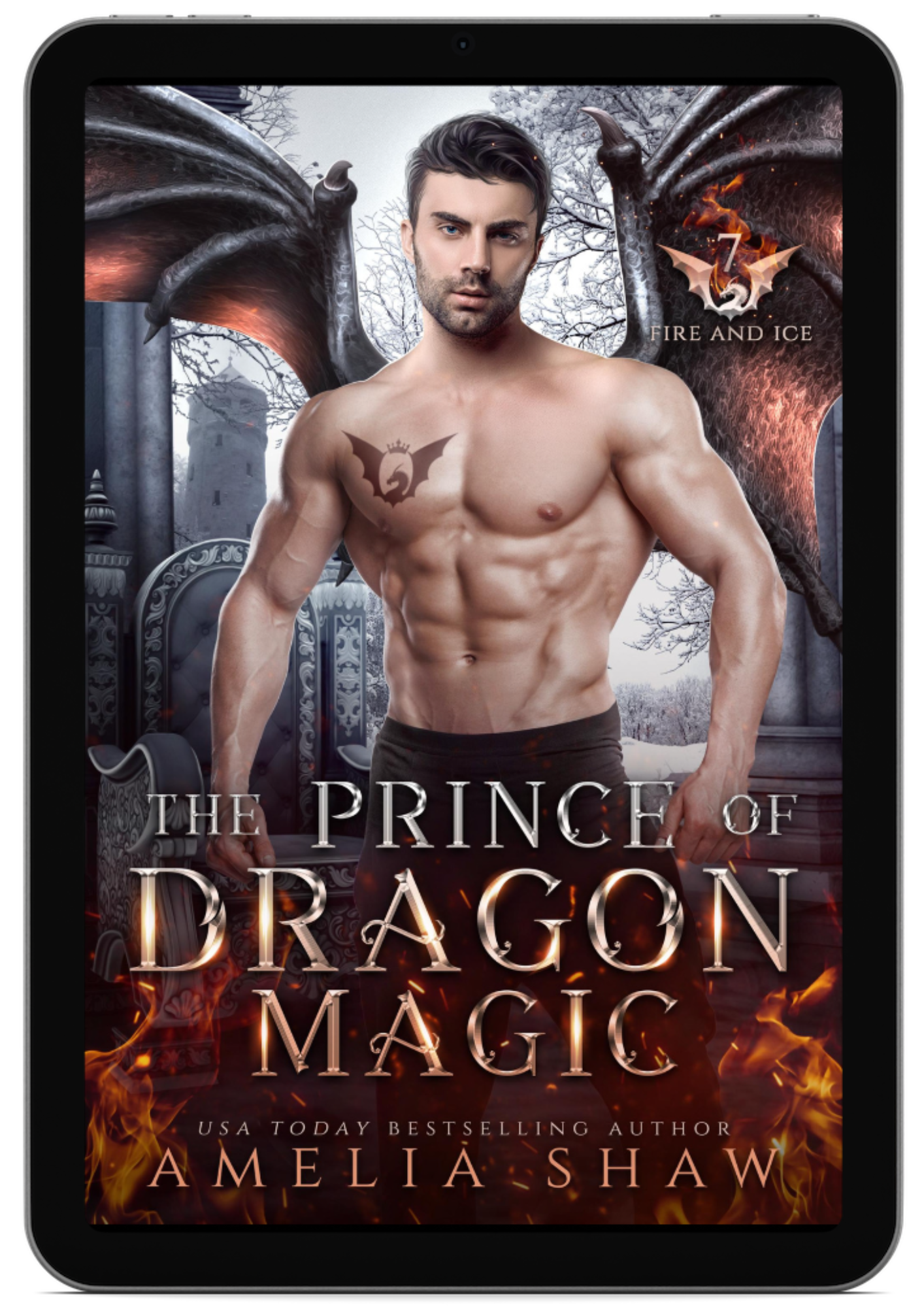 The Prince of Dragon Magic | Book 7 - The Dragon Kings of Fire and Ice