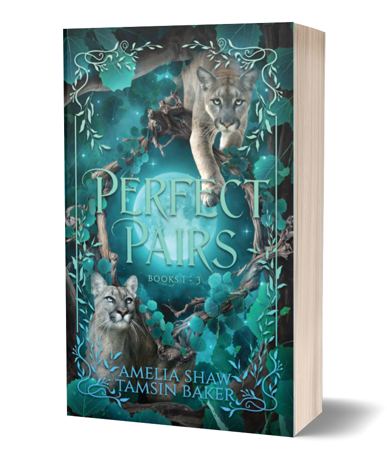 Perfect Pairs Omnibus Books 1-3 Paperback