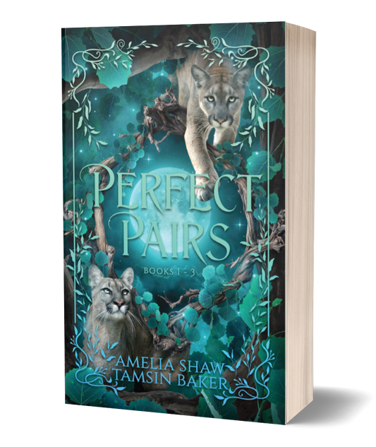 Perfect Pairs Omnibus Books 1-3 Paperback