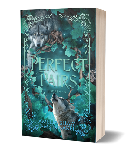 Perfect Pairs Omnibus Books 1-3 Paperback