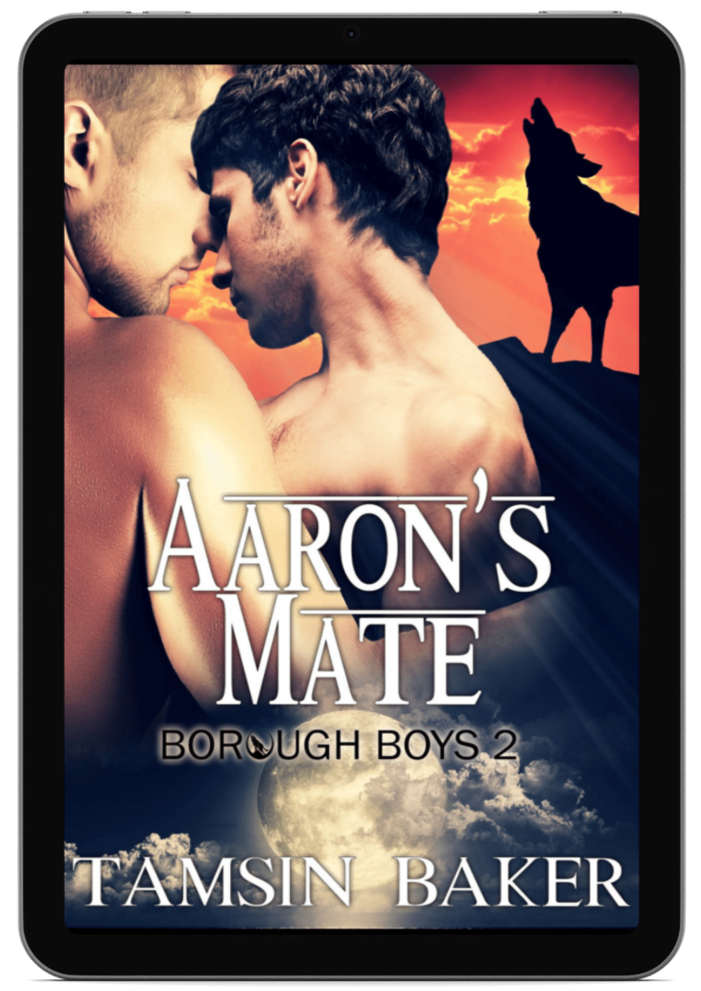 Aaron's Mate | Book 2 - The Borough Boys