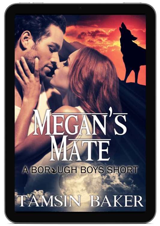 Megan's Mate | Book 4 - The Borough Boys